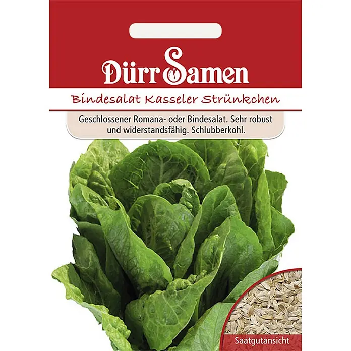 Dürr Samen Salatsamen Bindesalat - Lactuca sativa, Erntezeit: April, 4,5 g - Dürr Samen Bindesalat 'Kasseler Strünkchen' Samenpaket mit Bild von grünem Römersalat und Samen.