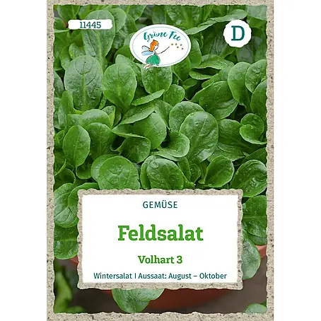 Grüne Fee  Salatsamen Feldsalat
