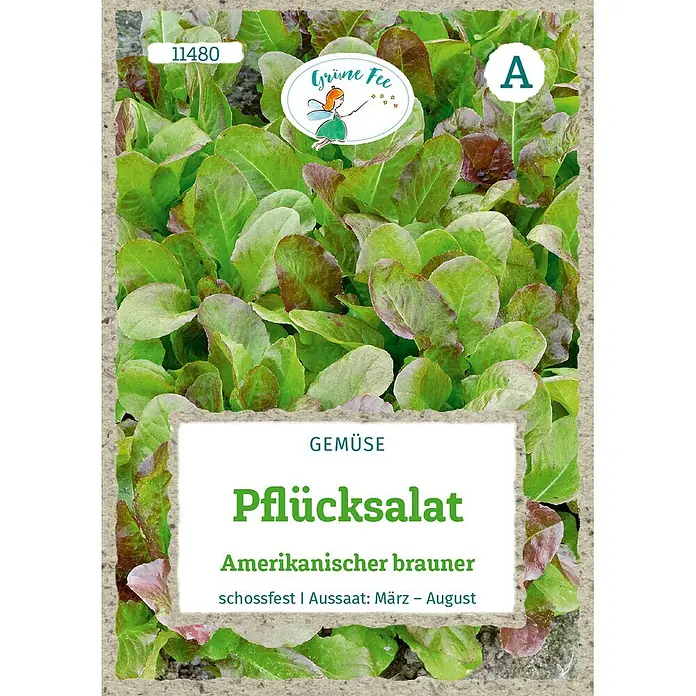 Grüne Fee Salatsamen Pflücksalat - Lactuca sativa var. acephala, Erntezeit: Mai, 0,4 g - Samentüte für Pflücksalat 'Amerikanischer brauner' mit grünen und roten Blättern und Aufschrift.