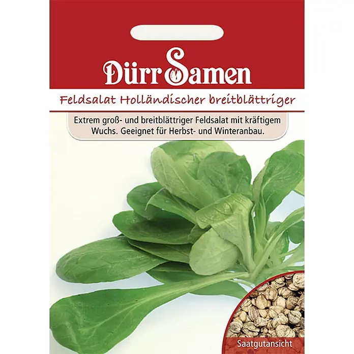 Dürr Samen Feldsalat Holländer -  - Rote Samenpackung für Holländischen breitblättrigen Feldsalat, zeigt die grüne Pflanze und eine Saatgutansicht. Ideal für Herbst- und Winteranbau.