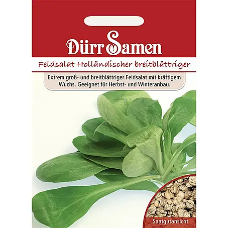 Dürr Samen Feldsalat Holländer