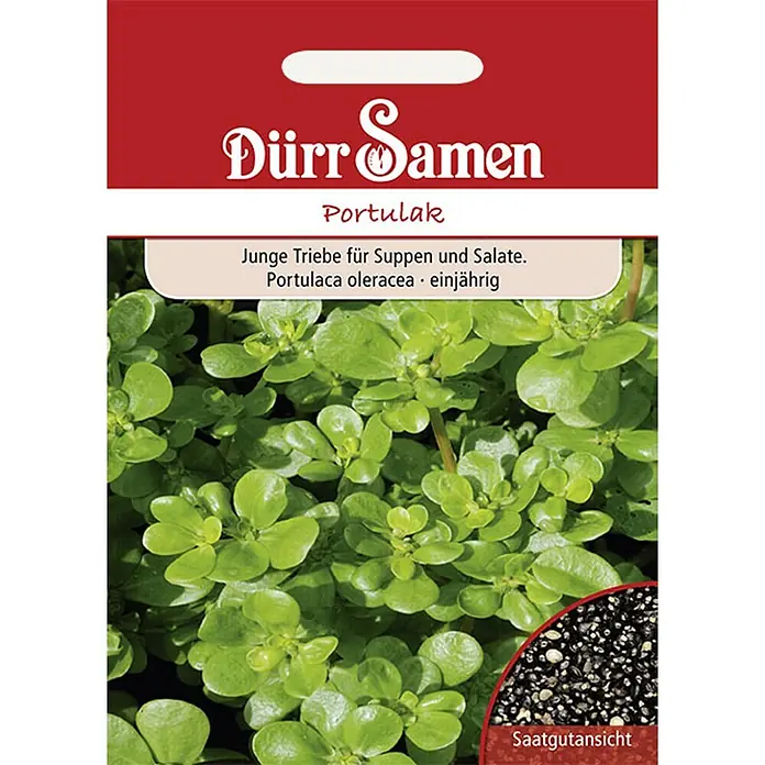 Dürr Samen Portulak -  - Dürr Samen Portulak-Samentüte, zeigt junge Pflanzen und Samen. Text: "Junge Triebe für Suppen und Salate."