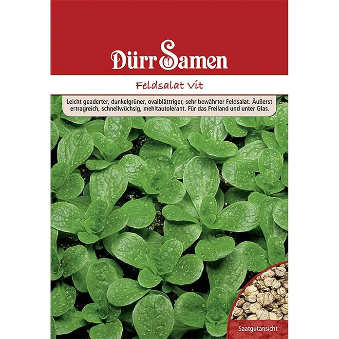 Dürr Samen Feldsalat Vit 250 g -  - Saatguttüte von Dürr Samen Feldsalat 'Vít', zeigt grüne Pflanzen mit Wassertropfen und eine Ansicht der Samen.