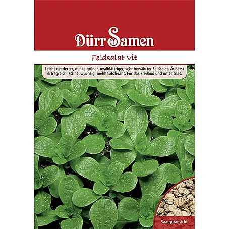 Dürr Samen Feldsalat Vit 250 g