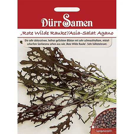 Dürr Samen  Salatsamen Rauke