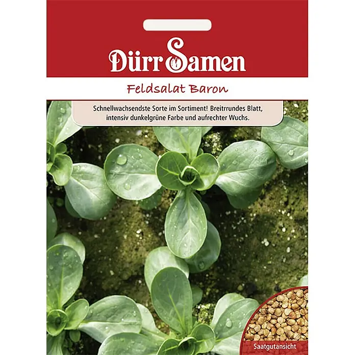 Dürr Samen Salatsamen Feldsalat - Valerianella locusta, Erntezeit: Oktober, 19 g - Dürr Samen Feldsalat Baron Saattüte mit Pflanzenbild und Samenansicht.