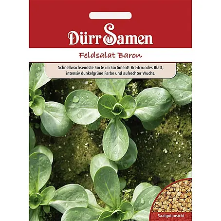 Dürr Samen  Salatsamen Feldsalat