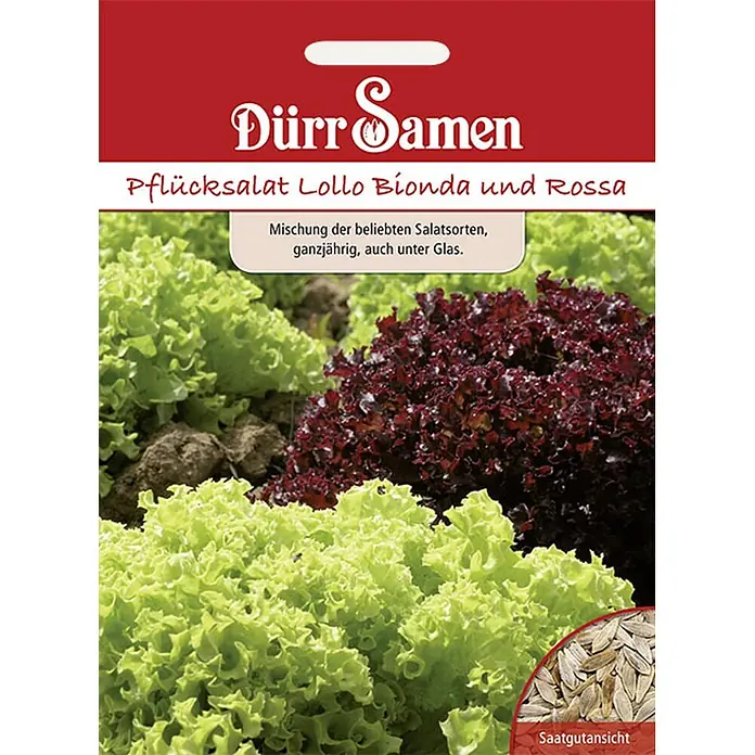 Dürr Samen Salatsamenmischung Mischung - Mischung, Erntezeit: Sortenabhängig, 6,5 g - Dürr Samen: Samenpäckchen für Pflücksalat Lollo Bionda und Rossa.