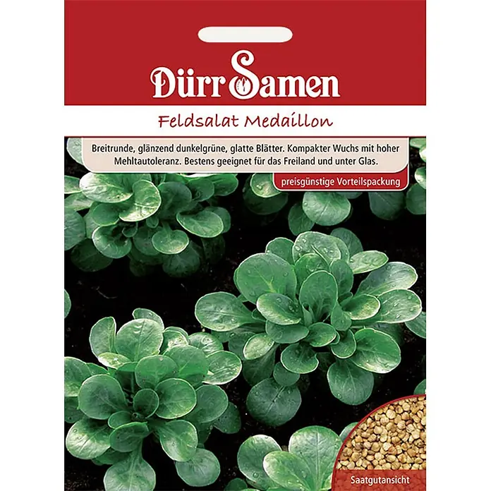 Dürr Samen Salatsamen Feldsalat - Valerianella locusta, Erntezeit: Oktober, 17,5 g - Rote Saattüte Dürr Samen Feldsalat Medaillon mit grünen Pflanzen und einer Detailansicht brauner Samen.