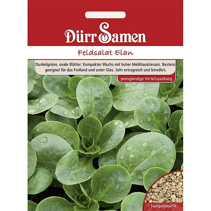 Dürr Samen Feldsalat Elan - Vorteilspackung - Rote Dürr Samen Saatguttüte für Feldsalat Elan mit grünen Blättern und Samenfoto.