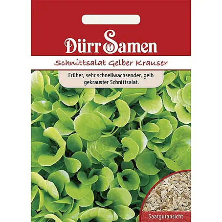 Dürr Samen  Salatsamen Schnittsalat
