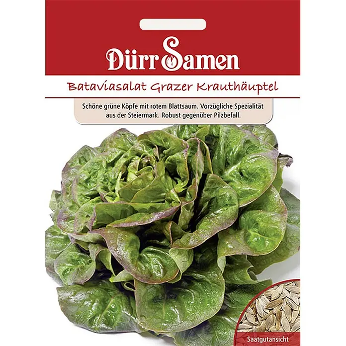 Dürr Samen Salatsamen Bataviasalat - Lacuta sativa, Erntezeit: Mai, 6,5 g - Rote und weiße Dürr Samen Samentüte für Bataviasalat Grazer Krauthäuptel, zeigt Pflanze und Samen.