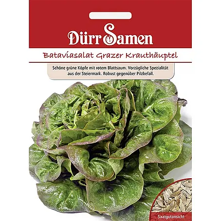 Dürr Samen  Salatsamen Bataviasalat
