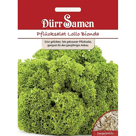 Dürr Samen Pflücksalat Lollo Bionda