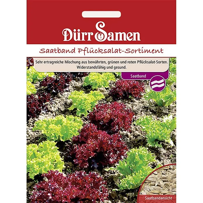 Dürr Samen Salatsamenmischung Saatband - Mischung, Erntezeit: Sortenabhängig, 11 g - Dürr Samen Saatband für roten und grünen Pflücksalat, wachsende Pflanzen im Beet und Detailansicht des Saatbands.