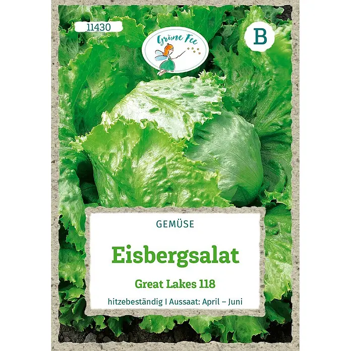 Grüne Fee Salatsamen Eisbergsalat - Lactuca sativa var. capitata L., Erntezeit: Juni, 0,3 g - Samentüte für Eisbergsalat "Great Lakes 118", mit Grüne Fee-Logo, hitzebeständig, Aussaat April-Juni.