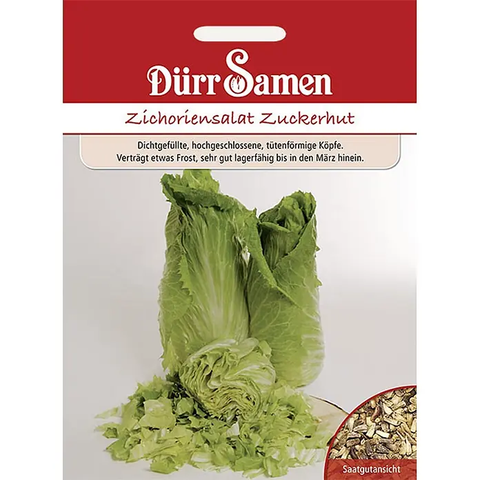 Dürr Samen Salatsamen Zichoriensalat - Cichorium intybus, Erntezeit: Juni, 8 g - Samenpäckchen für Zichoriensalat Zuckerhut, zeigt den grünen Salat und eine Nahaufnahme der Samen.