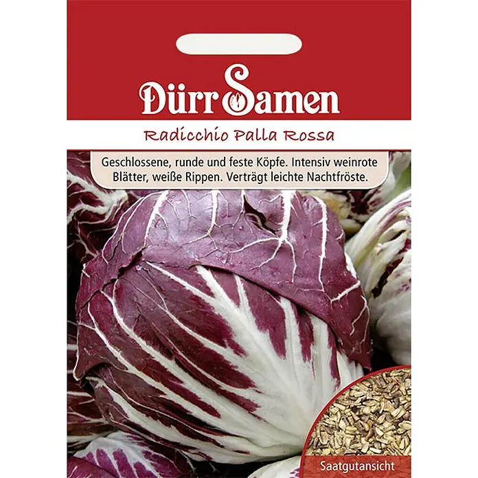 Dürr Samen Salatsamen Radicchio - Cichorium intybus, Erntezeit: Oktober, 5 g - Samenpäckchen für Radicchio Palla Rossa mit Abbildung eines roten Radicchio-Kopfes und Samen.