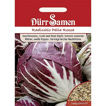 Dürr Samen  Salatsamen Radicchio