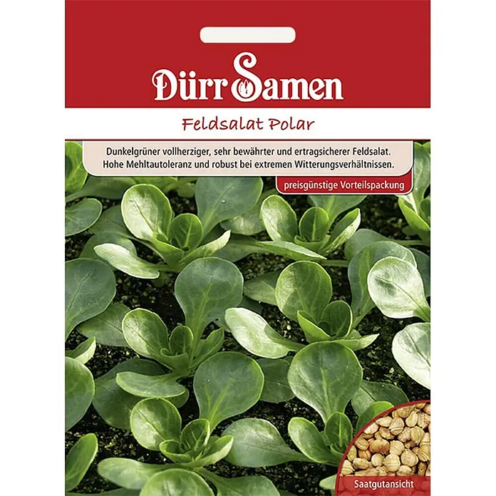 Dürr Samen Feldsalat Polar - Vorteilspackung - Samenpackung für Feldsalat Polar, mit Bildern von grünen Pflanzen und Samen.