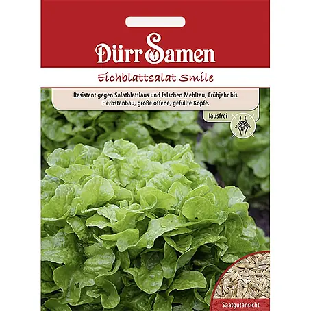 Dürr Samen Eichblattsalat Smile
