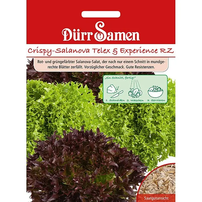 Dürr Samen Salatsamen Salat - Lactuca sativa, Erntezeit: Mai, 7 g - Samentüte für Dürr Samen Crispy Salanova Salat, mit Abbildungen von rotem und grünem Salat und Samen.