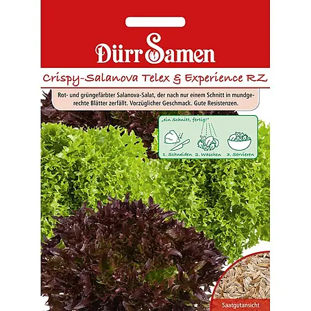 Dürr Samen  Salatsamen Salat