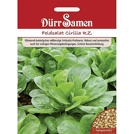 Dürr Samen Feldsalat Cirilla RZ
