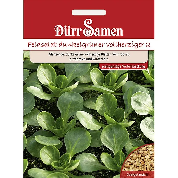 Dürr Samen Feldsalat Dunkelgrüner vollherziger - Vorteilspackung - Dürr Samen Samentüte für 'Feldsalat dunkelgrüner vollherziger 2' mit Pflanzen und Saatgut.