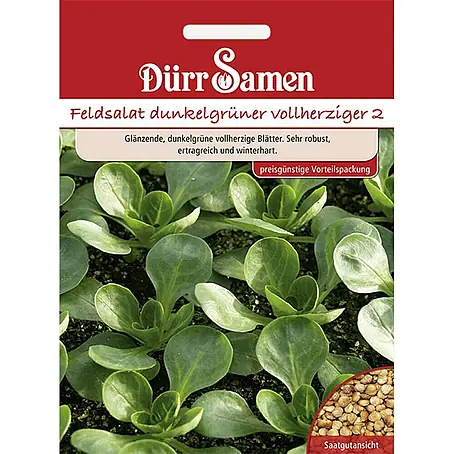 Dürr Samen Feldsalat Dunkelgrüner vollherziger (Vorteilspackung)