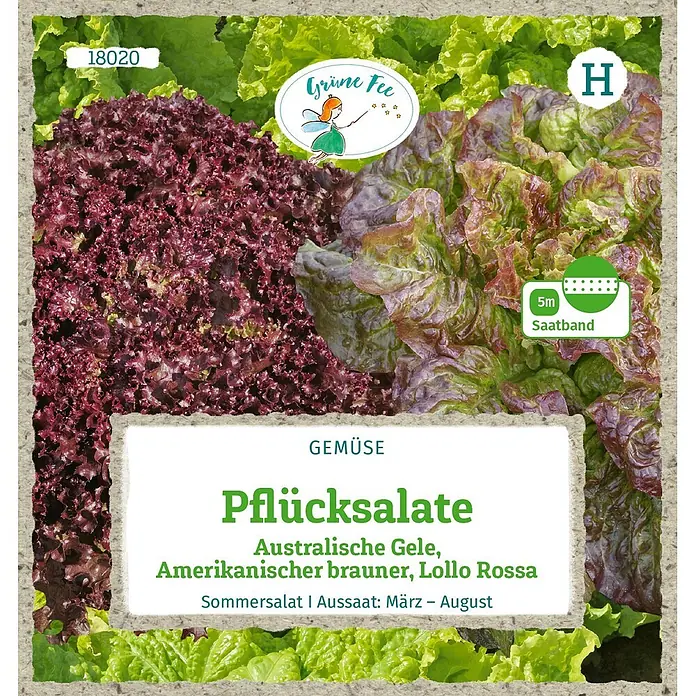 Grüne Fee Salatsamen Saatband - Mischung, Erntezeit: Mai, 9 g - Samenpackung für Pflücksalat, zeigt rote und grüne Sorten, inkl. 5m Saatband und Aussaatinfo.