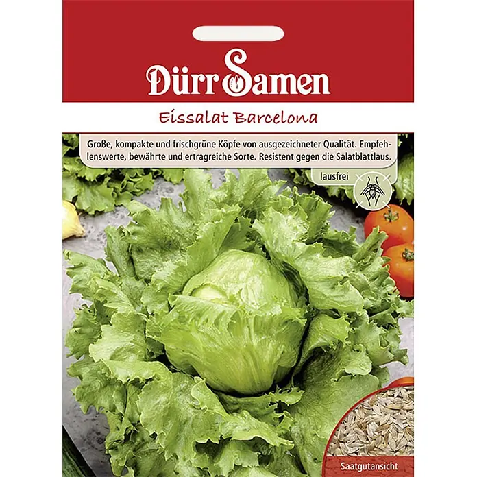Dürr Samen Salatsamen Eissalat - Lactuca sativa, Erntezeit: Juni, 6 g - Rot-weiße Dürr Samen Packung für Eissalat Barcelona mit Abbildung eines Salatkopfes und Samen.