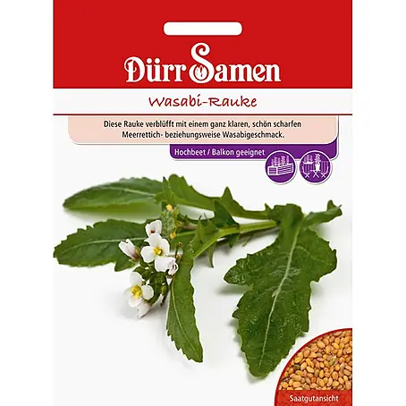 Dürr Samen Wasabi-Rauke
