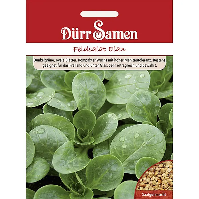 Dürr Samen Feldsalat Elan -  - Samenpackung Dürr Samen 'Feldsalat Elan'. Zeigt grüne Blätter mit Wassertropfen und Saatgut, bekannt für Mehltau-Toleranz und hohen Ertrag.