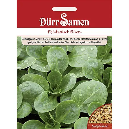 Dürr Samen Feldsalat Elan