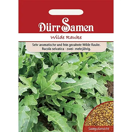 Dürr Samen  Salatsamen Rauke