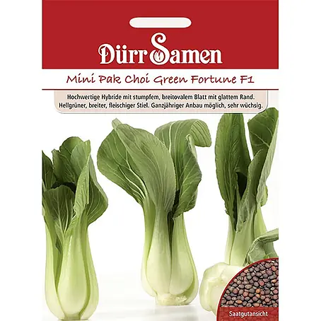 Dürr Samen  Salatsamen Asia-Salat