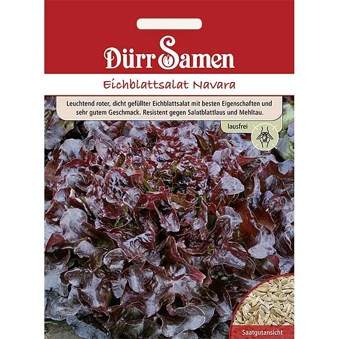 Dürr Samen Salatsamen Eichblattsalat - Lactuca sativa, Erntezeit: März, 6,5 g - Samentüte für 'Navara' roten Eichblattsalat, zeigt die leuchtend rote Salatpflanze und eine Saatgutansicht.