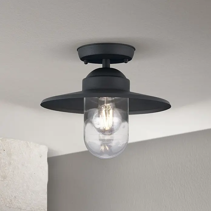 Orion Leuchten Außenwand- & Deckenleuchte Edward - 60 W, L x B x H: 27,5 x 27,5 x 23,5 cm, Schwarz, Klar, IP44