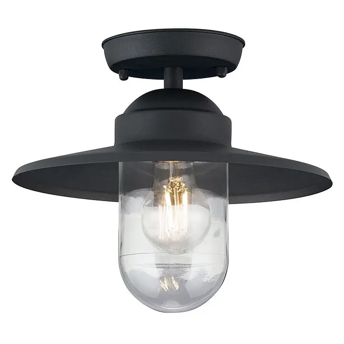 Orion Leuchten Außenwand- & Deckenleuchte Edward - 60 W, L x B x H: 27,5 x 27,5 x 23,5 cm, Schwarz, Klar, IP44