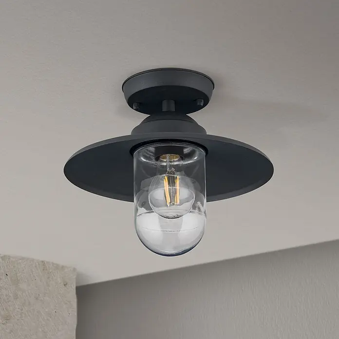 Orion Leuchten Außenwand- & Deckenleuchte Edward - 60 W, L x B x H: 27,5 x 27,5 x 23,5 cm, Schwarz, Klar, IP44