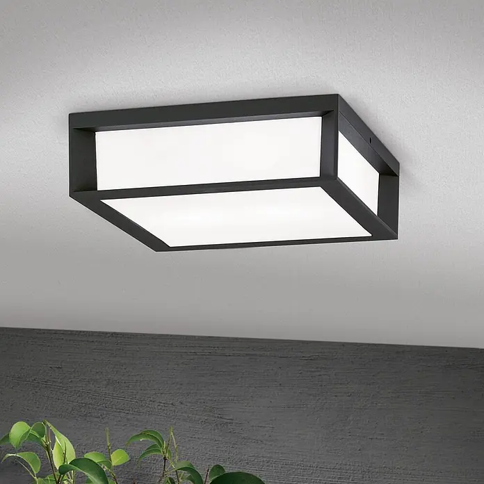 Orion Leuchten Außenwand- & Deckenleuchte Henry - 30 W, L x B x H: 26 x 26 x 8 cm, Schwarz, Opal, IP44