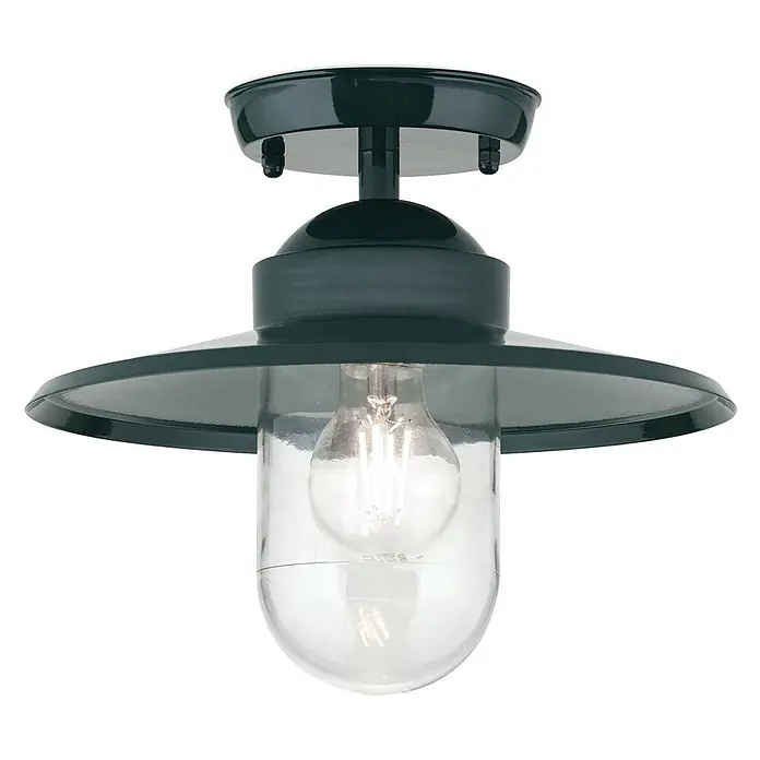 Orion Leuchten Außenwand- & Deckenleuchte Edward - 60 W, L x B x H: 27,5 x 27,5 x 23,5 cm, Grün, Klar, IP44