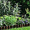 BEETEINFASSUNG BRAUN15 cm HOCH, 9 m *** GARDENA