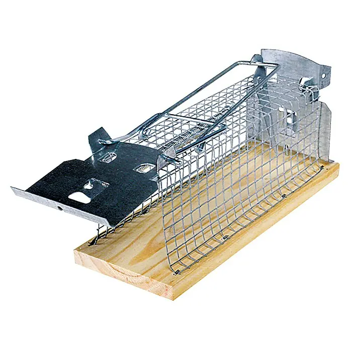 Swissinno Classic Drahtkasten-Rattenfalle - Lebendfalle - Nahaufnahme einer Lebendfalle mit Drahtgeflecht und Holzsockel, die eine humane Schädlingsbekämpfungslösung bietet.