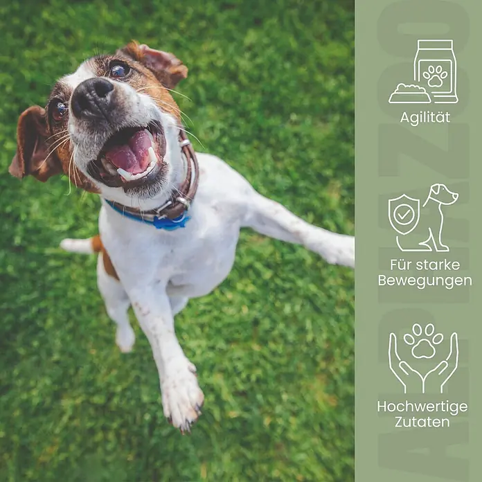 Alphazoo Hundesnack Auf dem Sprung Leckerli - 160 g