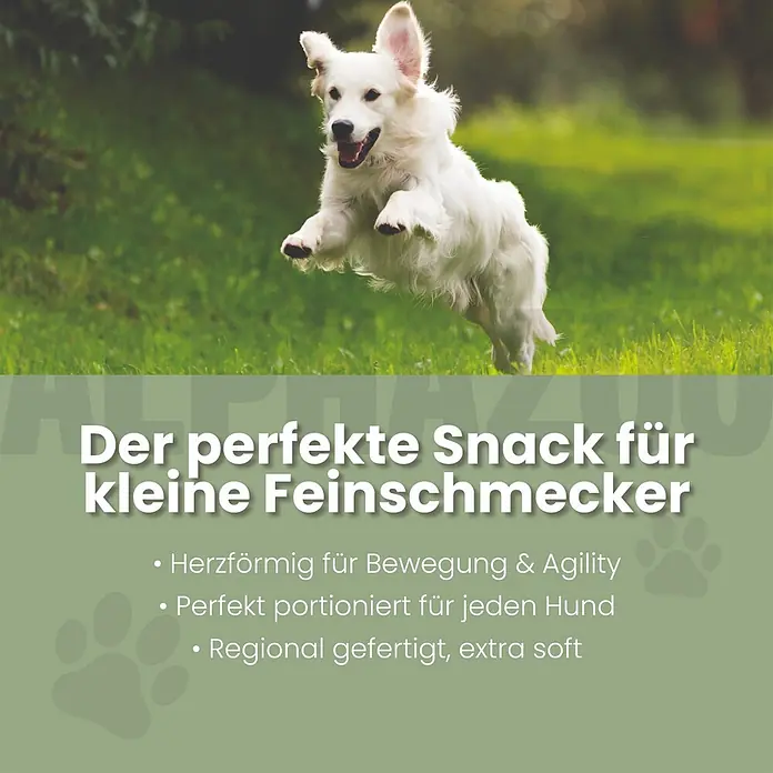 Alphazoo Hundesnack Auf dem Sprung Leckerli - 160 g