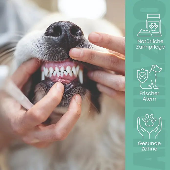 Alphazoo Hundesnack Zähne zeigen Kaustange - 140 g
