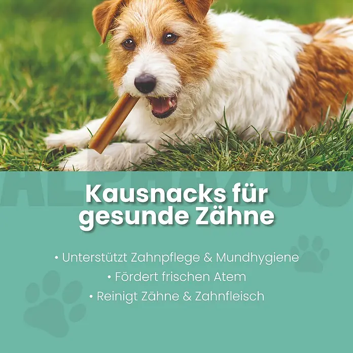 Alphazoo Hundesnack Zähne zeigen Kaustange - 140 g