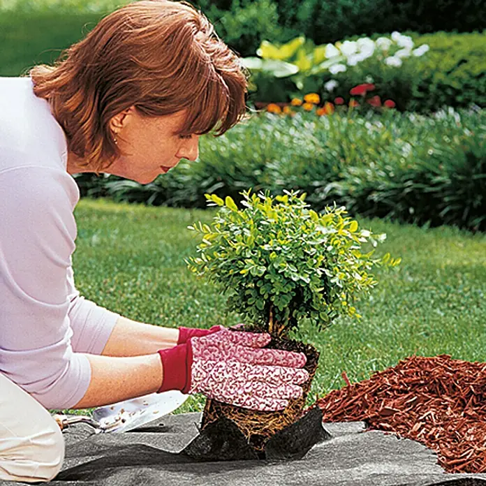 Gardol Premium Unkrautvlies - Polypropylen, 15 x 1 m - Eine Frau pflanzt einen kleinen Strauch im Garten, unterstützt durch eine Schutzmatte und Gartenhandschuhe für die Gartenarbeit.